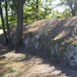 Fot. Nadleśnictwo Koło