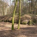 Fot. Nadleśnictwo Koło