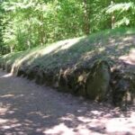 Fot. Nadleśnictwo Koło