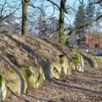 Fot. Nadleśnictwo Koło