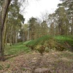 Fot. Nadleśnictwo Koło