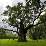 „Syn" Bartka upamiętni wybitnego himalaistę