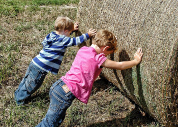 Bezpieczeństwo pracy w gospodarstwach rolnych. Czego nie wolno robić dzieciom na wsi? - Radio Kielce