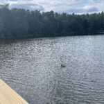 Golejów. Zalew / Fot. Grażyna Szlęzak - Radio Kielce