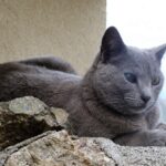 Muzyczne podróże. Sycylia / Fot. Danuta Rasała