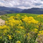 Muzyczne podróże. Sycylia / Fot. Danuta Rasała