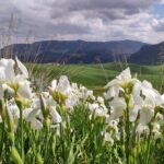 Muzyczne podróże. Sycylia / Fot. Danuta Rasała