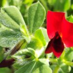 Muzyczne podróże. Sycylia / Fot. Danuta Rasała