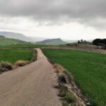 Muzyczne podróże. Sycylia / Fot. Danuta Rasała