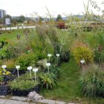 24.09.2022. Kielce. Ogród botaniczny. Rodzinny piknik „Skarby Jesieni” / Fot. Marcin Marszałek - Radio Kielce