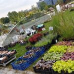 24.09.2022. Kielce. Ogród botaniczny. Rodzinny piknik „Skarby Jesieni” / Fot. Marcin Marszałek - Radio Kielce