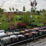 24.09.2022. Kielce. Ogród botaniczny. Rodzinny piknik „Skarby Jesieni” / Fot. Marcin Marszałek - Radio Kielce