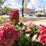 23.09.2022. Końskie. Remont Rynku / Fot. Magdalena Galas-Klusek - Radio Kielce