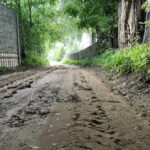 18.09.2022. Zawichost. Wąwóz lessowy / Fot. Urząd Miasta i Gminy Zawichost