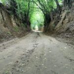 18.09.2022. Zawichost. Wąwóz lessowy / Fot. Urząd Miasta i Gminy Zawichost