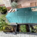 29.09.2022. Kielce. Akcja #sadziMY / Fot. Paulina Michta - Radio Kielce