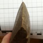 24.09.2022. Włostów. Krzemienna siekierka z czasów neolitu / Fot. Mariusz Piotrowski