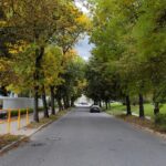 21.09.2022. Kielce. Interwencja Radia Kielce. Protest przeciwko wycince drzew / Fot. Wiktor Taszłow - Radio Kielce