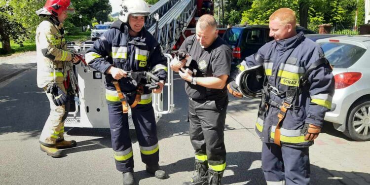 Strażacy uratowali kotkę / Fot. Szkoła Podstawowa im. Henryka Sienkiewicza w Oblęgorku - Facebook