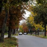 21.09.2022. Kielce. Interwencja Radia Kielce. Protest przeciwko wycince drzew / Fot. Wiktor Taszłow - Radio Kielce