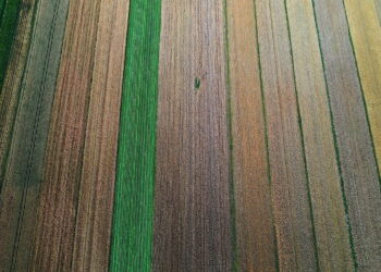 Ponad 13 mln zł z EFRROW i budżetu państwa na scalanie rolniczych gruntów w powiecie jędrzejowskim - Radio Kielce