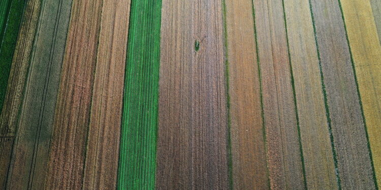 Ponad 13 mln zł z EFRROW i budżetu państwa na scalanie rolniczych gruntów w powiecie jędrzejowskim - Radio Kielce