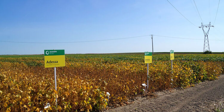 Specjaliści o agrotechnice soi na seminarium w Słupi - Radio Kielce