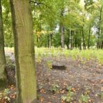 28.09.2022. Końskie. Park / Fot. Magdalena Galas-Klusek - Radio Kielce