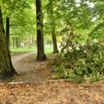 28.09.2022. Końskie. Park / Fot. Magdalena Galas-Klusek - Radio Kielce