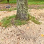 28.09.2022. Końskie. Park / Fot. Magdalena Galas-Klusek - Radio Kielce