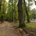 Fot. Magdalena Galas-Klusek - Radio Kielce