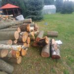 11.09.2022. Piekoszów. Skradzione drewno / źródło: KMP Kielce