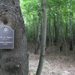 04.09.2022. Działoszyce. Obchody 80. rocznicy zagłady społeczności żydowskiej / Fot. Marta Gajda-Kruk - Radio Kielce