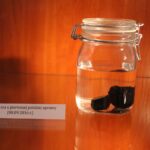 24.09.2022. Pińczów. Wystawa „Zapomniany Skarb Ponidzia - Trufle” / Fot. Marta Gajda-Kruk - Radio Kielce