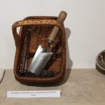 24.09.2022. Pińczów. Wystawa „Zapomniany Skarb Ponidzia - Trufle” / Fot. Marta Gajda-Kruk - Radio Kielce