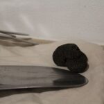 24.09.2022. Pińczów. Wystawa „Zapomniany Skarb Ponidzia - Trufle” / Fot. Marta Gajda-Kruk - Radio Kielce