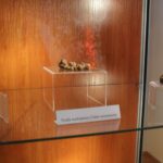 24.09.2022. Pińczów. Wystawa „Zapomniany Skarb Ponidzia - Trufle” / Fot. Marta Gajda-Kruk - Radio Kielce