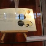 24.09.2022. Pińczów. Wystawa „Zapomniany Skarb Ponidzia - Trufle” / Fot. Marta Gajda-Kruk - Radio Kielce