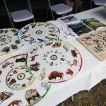 18.09.2022. Kielce. Festyn “Dary Świętokrzyskich Lasów” / Fot. Wiktor Taszłow - Radio Kielce