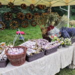 18.09.2022. Kielce. Festyn “Dary Świętokrzyskich Lasów” / Fot. Wiktor Taszłow - Radio Kielce