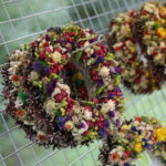 18.09.2022. Kielce. Festyn “Dary Świętokrzyskich Lasów” / Fot. Wiktor Taszłow - Radio Kielce