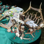 18.09.2022. Kielce. Festyn “Dary Świętokrzyskich Lasów” / Fot. Wiktor Taszłow - Radio Kielce