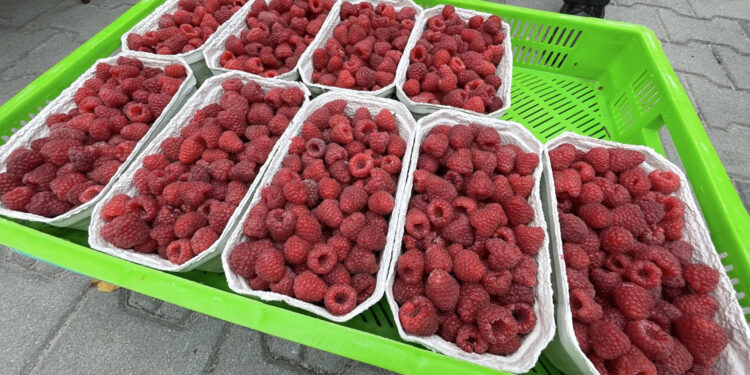 Ceny warzyw i owoców na ostrowieckim Targowisku Miejskim (22.09.2022) - Radio Kielce