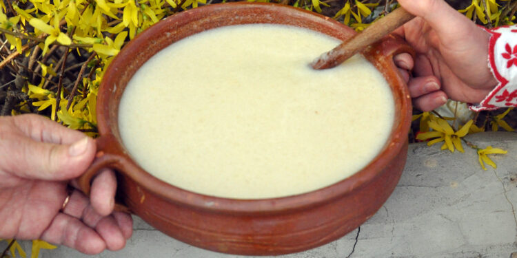 Japconka - Radio Kielce Japconka - Radio Kielce