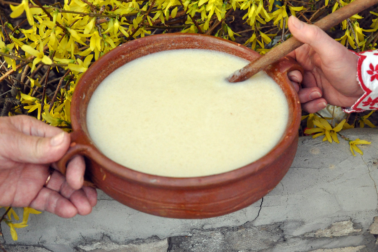 Japconka - Radio Kielce Japconka / Fot. Patrycja Sus-Lutyńska - ŚODR w Modliszewicach