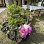 24.09.2022. Opatów. Turniej piłkarski „Witaj szkoło” / Fot. Emilia Sitarska - Radio Kielce