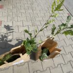 24.09.2022. Opatów. Turniej piłkarski „Witaj szkoło” / Fot. Emilia Sitarska - Radio Kielce