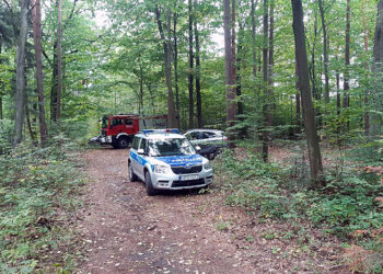 Tragedia w lesie koło Staszowa. Nie żyje 55-letnia kobieta i jej 60-letni mąż / Fot. Komenda Powiatowa Policji w Staszowie