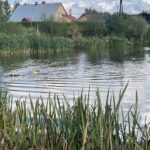 28.09.2022. Waśniów. Akcja „Szkoła 2022” / Fot. Emilia Sitarska - Radio Kielce