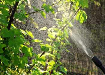 Sandomierski oddział ŚODR zaprasza na kurs chemizacyjny – uzupełniający - Radio Kielce